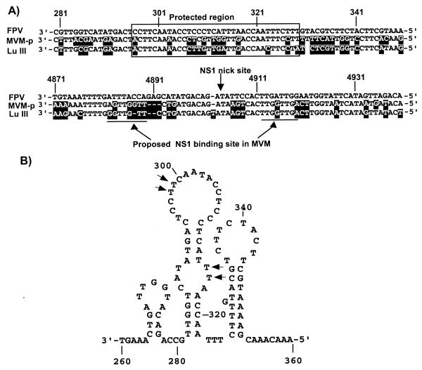 FIG. 7