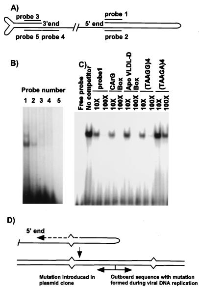 FIG. 3