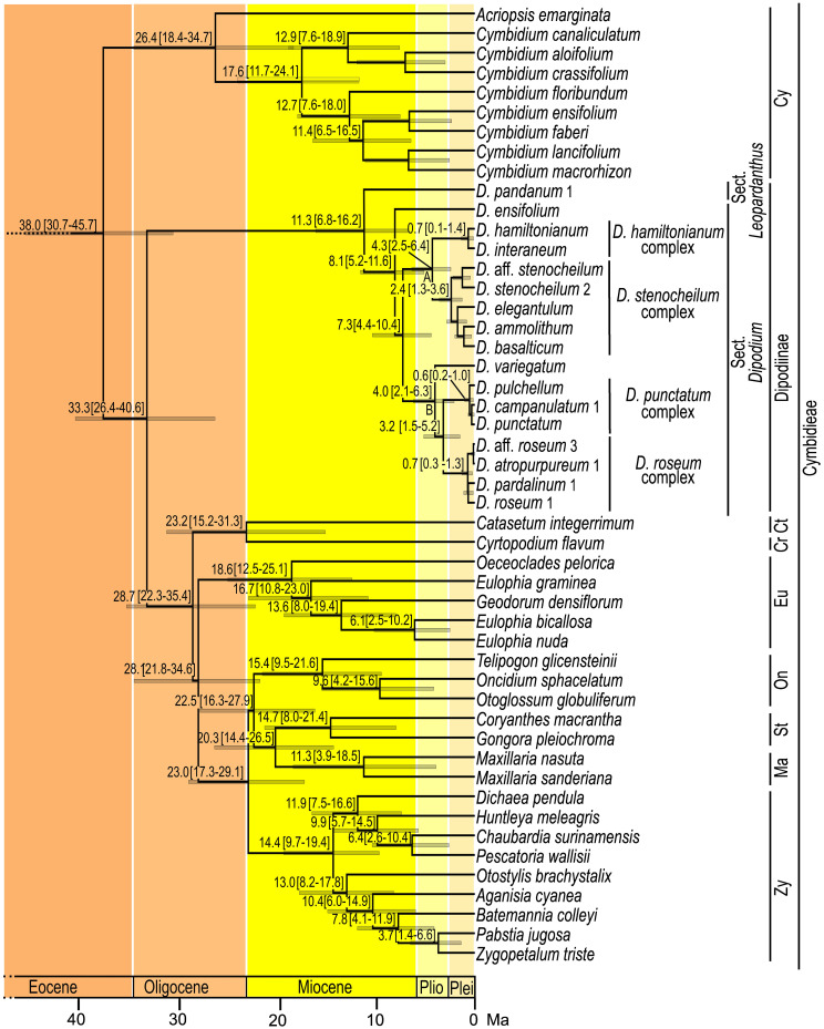 Figure 4