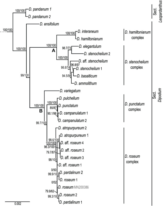 Figure 3