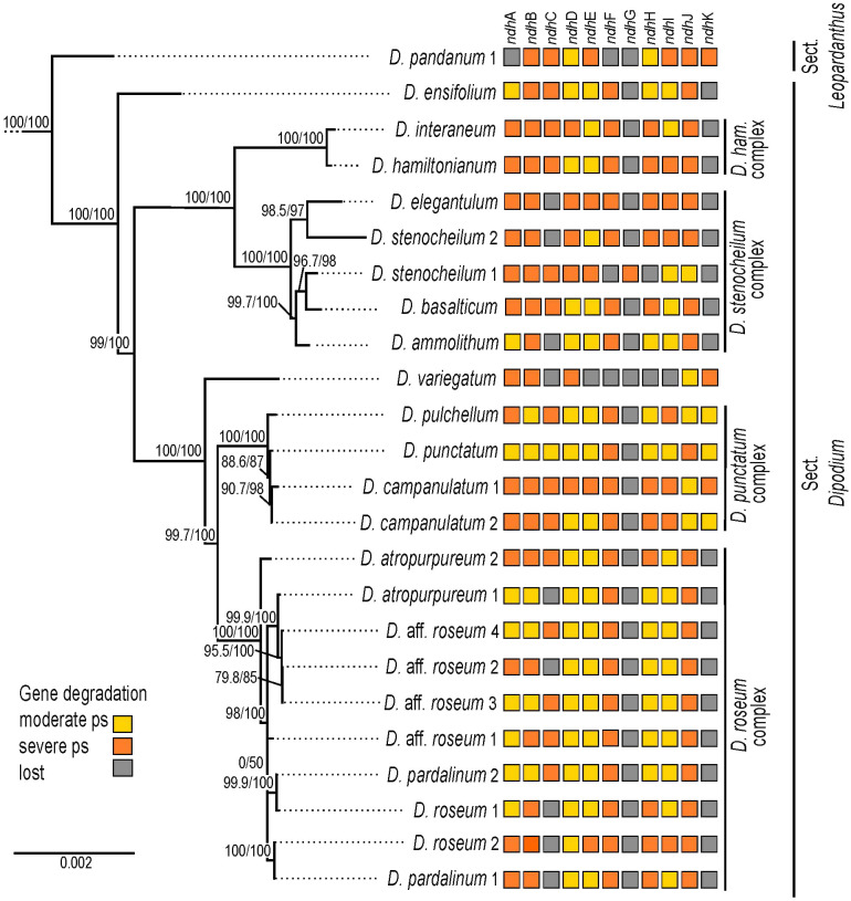 Figure 6