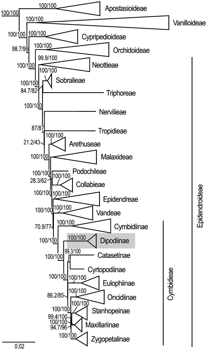 Figure 2