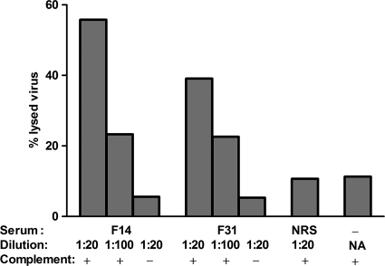 Fig. 7.