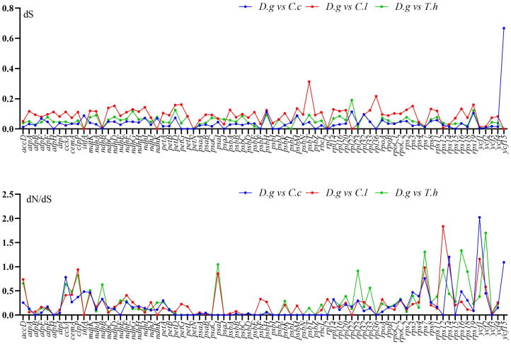 Fig. 9