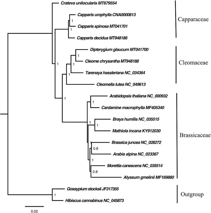 Fig. 10