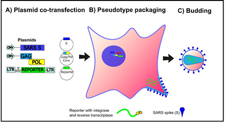 Figure 1.