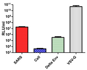 Figure 5.