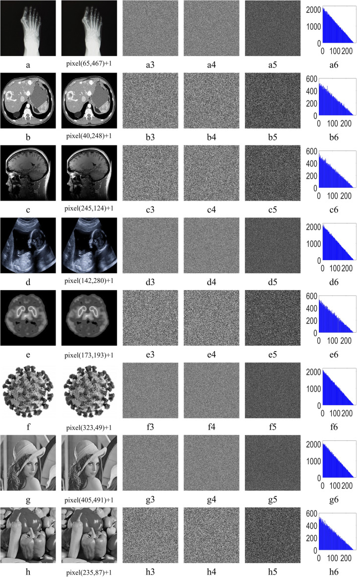 Fig. 10