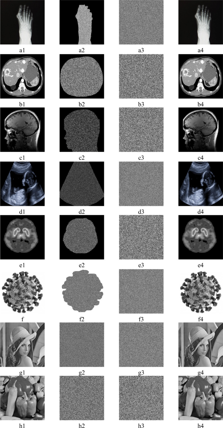 Fig. 6