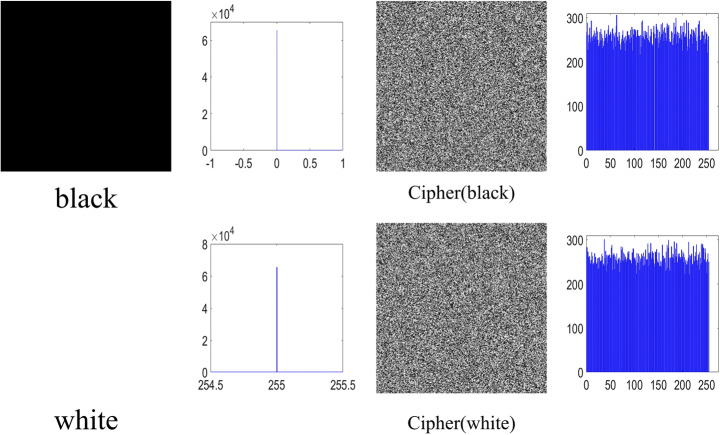 Fig. 11