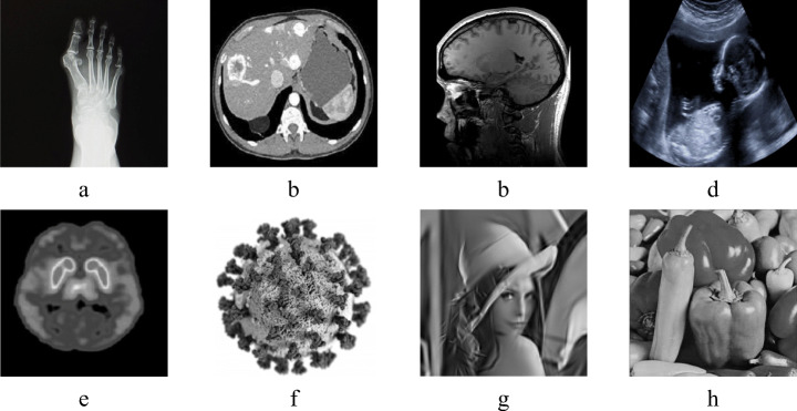 Fig. 5