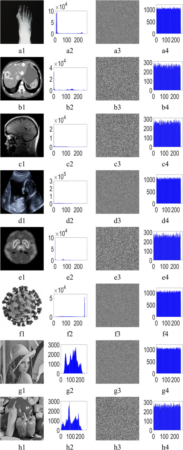 Fig. 7