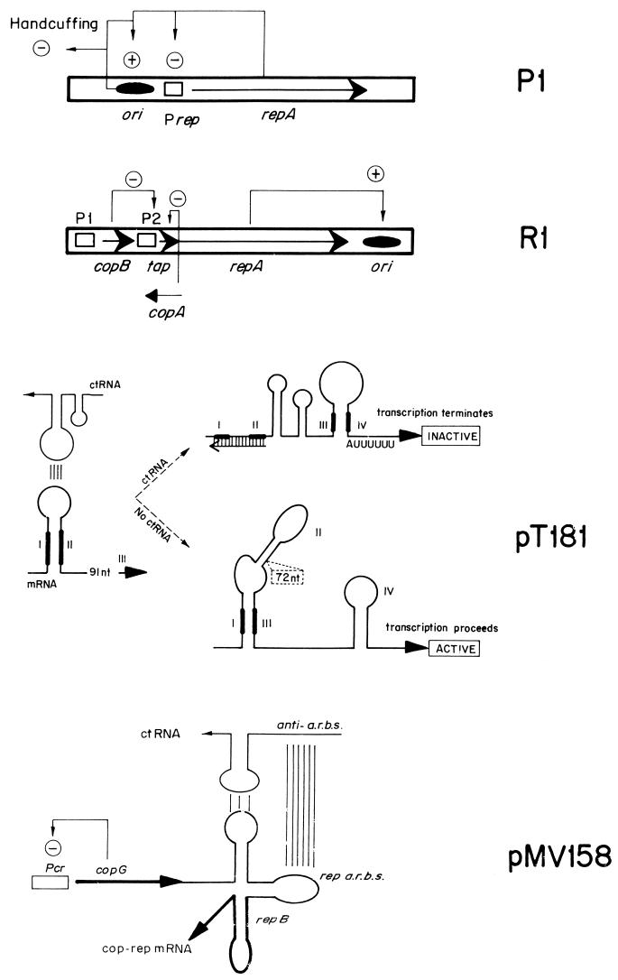 FIG. 9