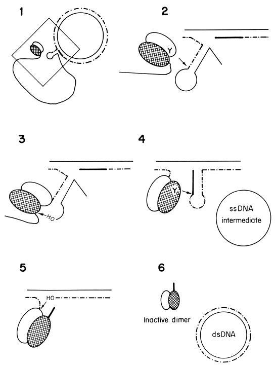 FIG. 8