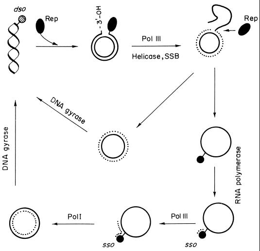 FIG. 6