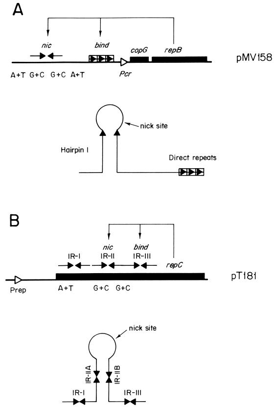 FIG. 7