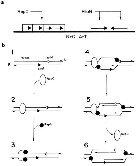 FIG. 5