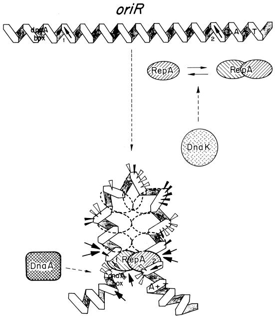 FIG. 4