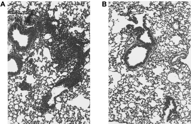 FIG. 9