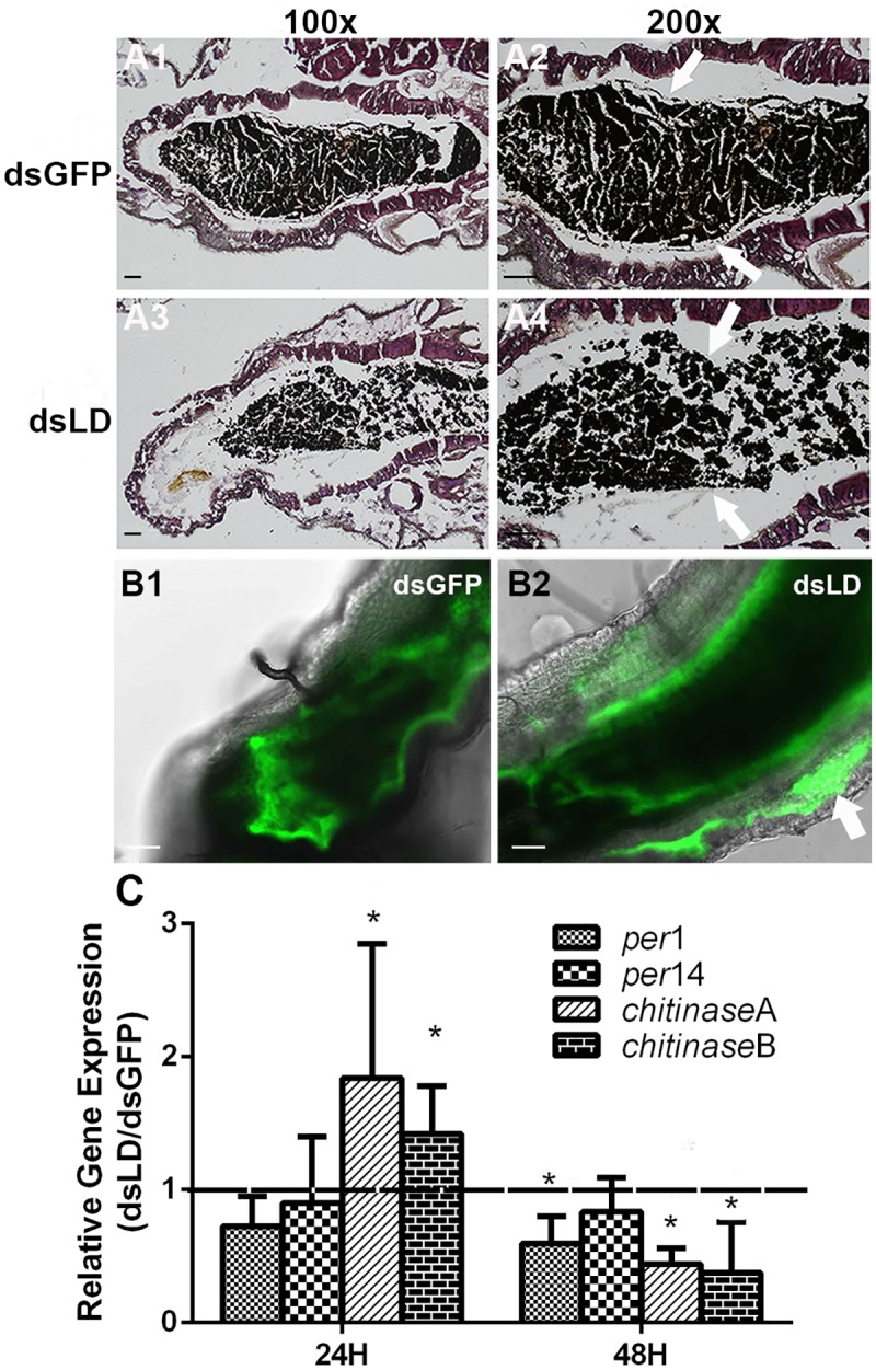 Fig 3