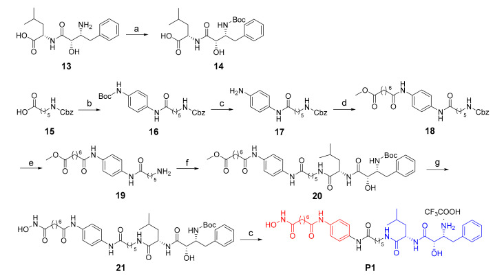 Scheme 1