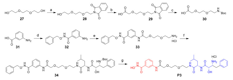 Scheme 3