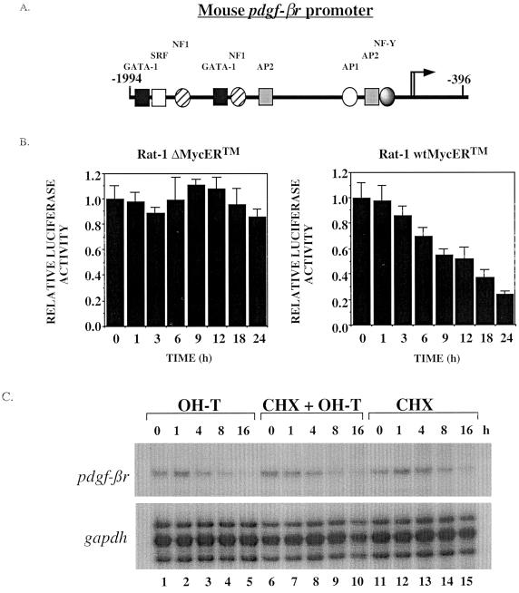 FIG. 6