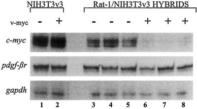 FIG. 5