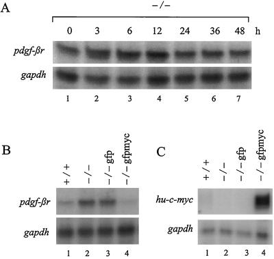 FIG. 7