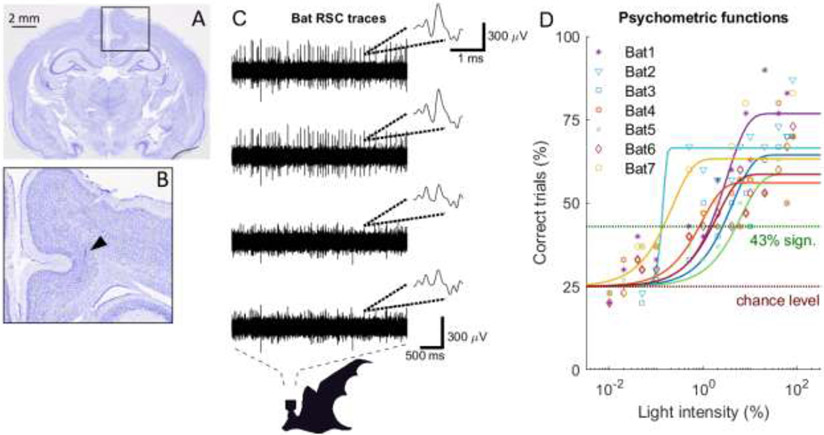 Fig 2: