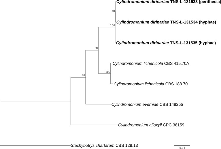 Fig. 3.