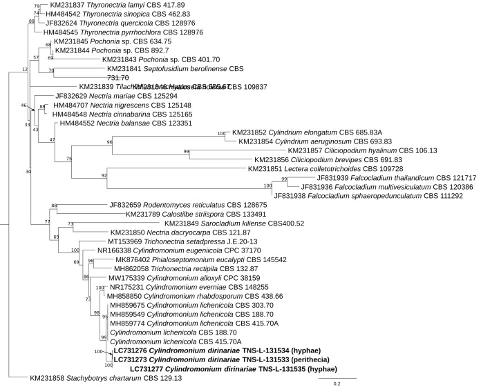 Fig. 2.