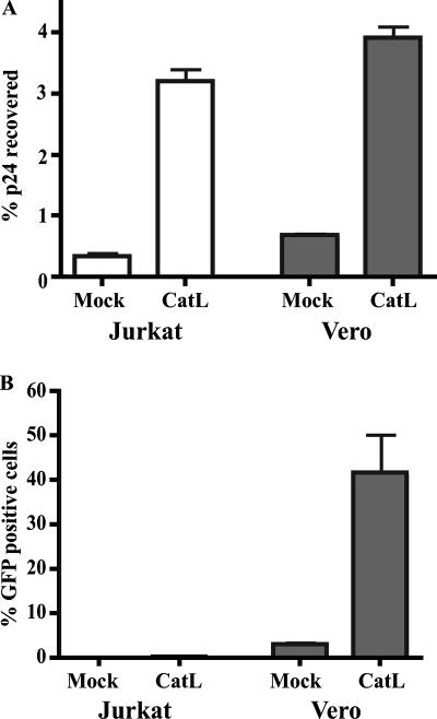 FIG. 5.