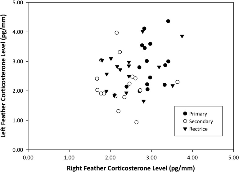 Figure 3: