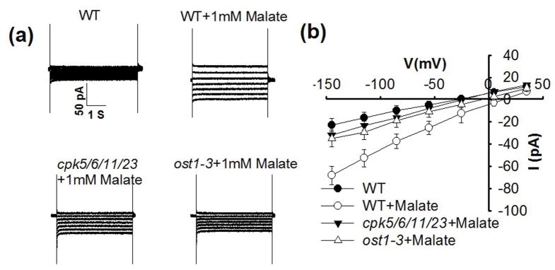 Fig. 6