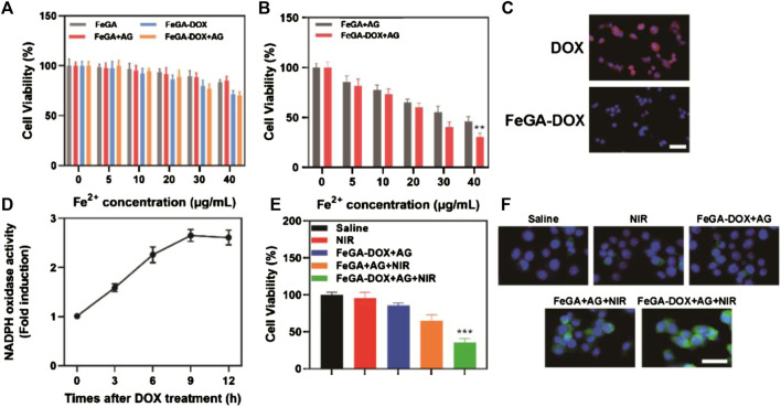 FIGURE 2