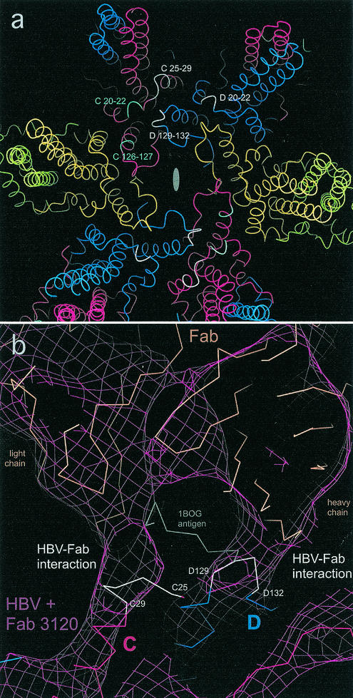 FIG. 4.