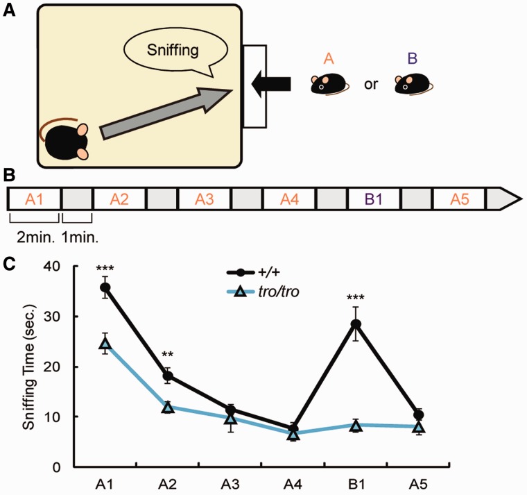 Fig. 4.—