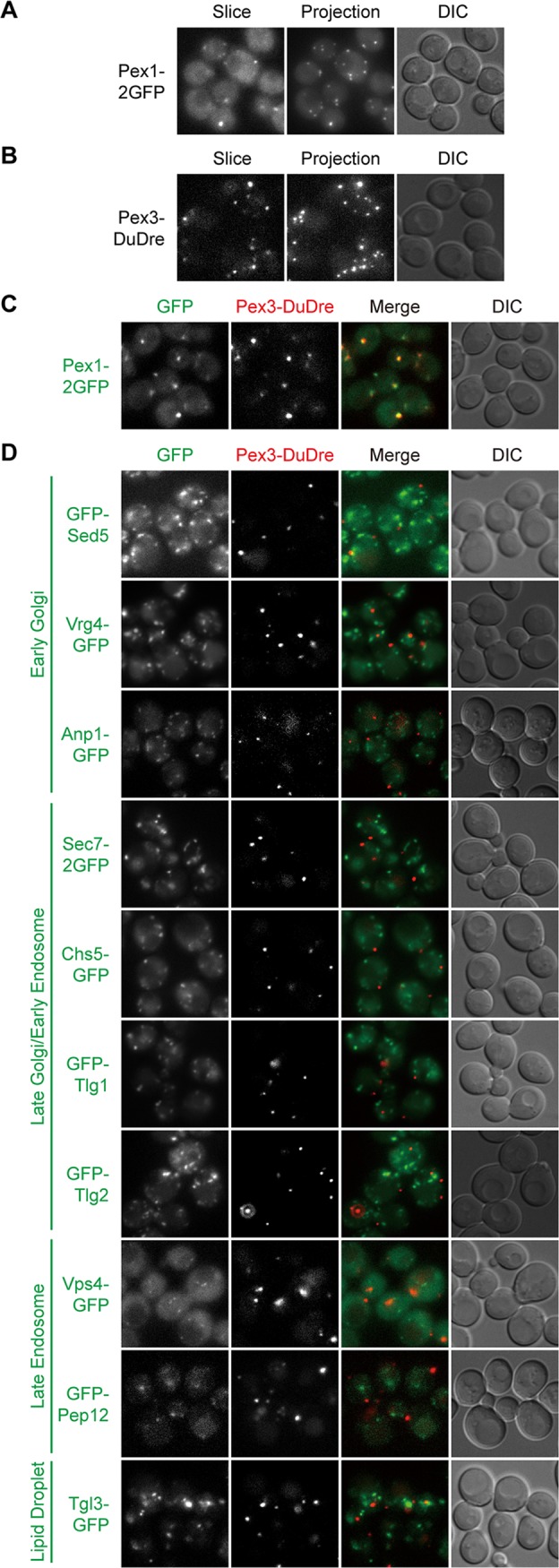 FIG 6