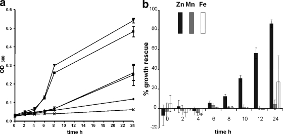 FIG. 2.