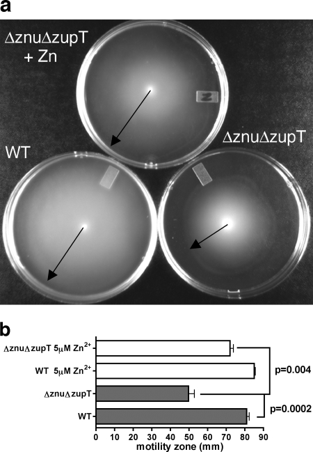 FIG. 7.