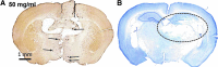 <b>FIG. 4.</b>
