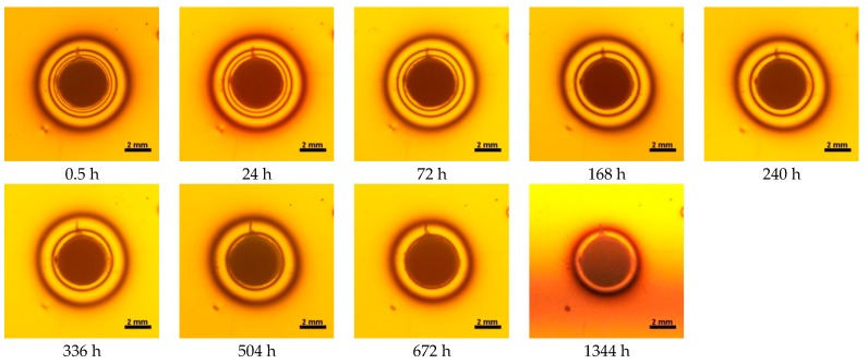 Figure 12