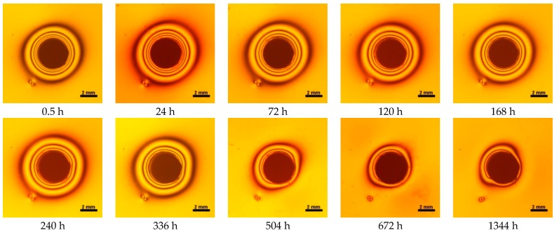 Figure 10