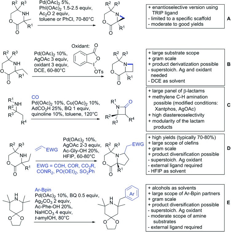 Scheme 180