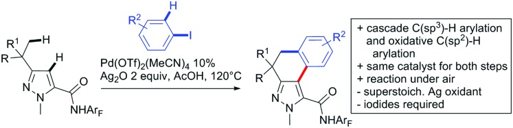 Scheme 23