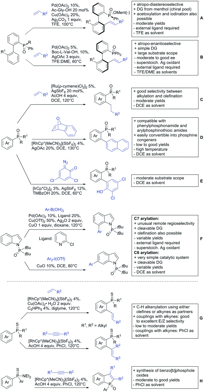 Scheme 171