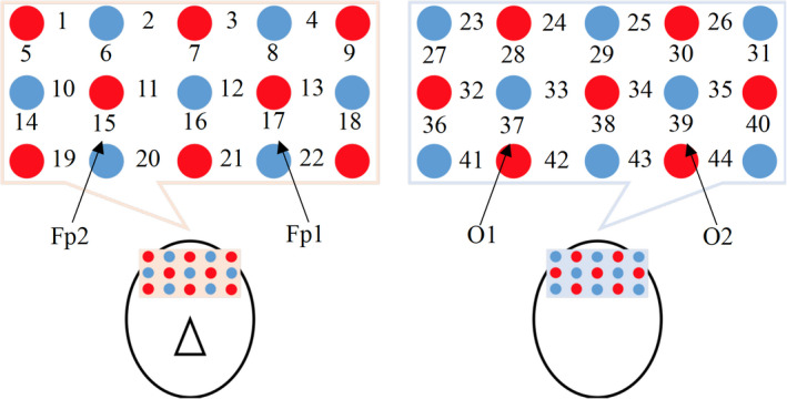 FIGURE 3