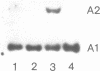 2516