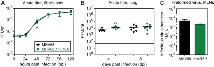 FIG 4 